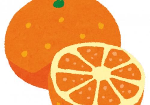 fruit_orange2